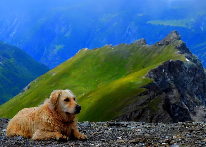 Apartamento Appartamentinid